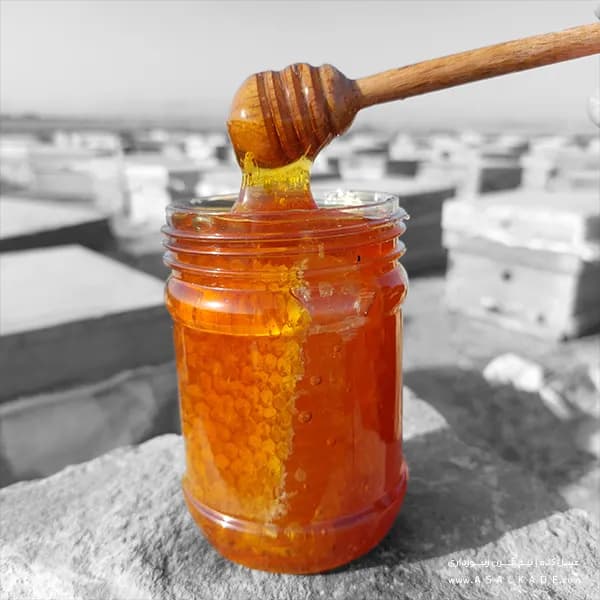 عسل آویشن موم دار – ارگانیک — تصویر ۶