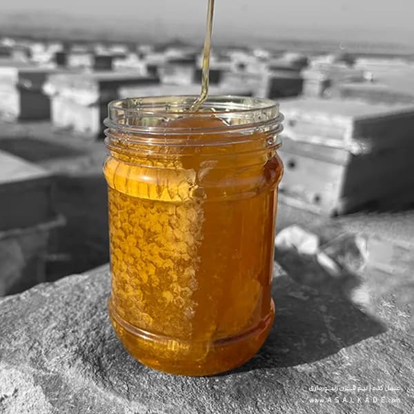 عسل چند گیاه موم دار – ارگانیک — تصویر ۶