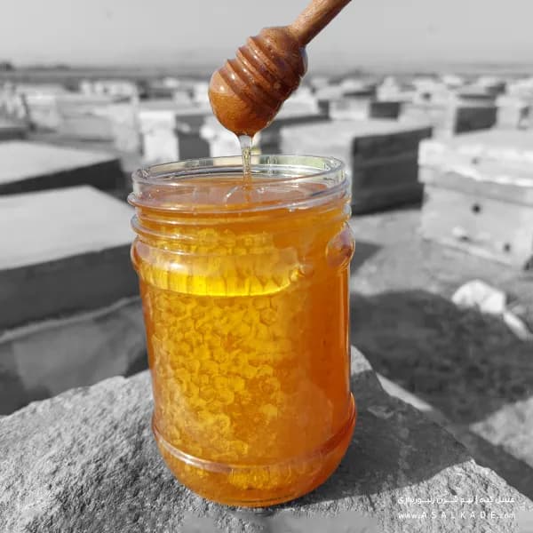 عسل خارشتر موم دار – ارگانیک — تصویر ۶