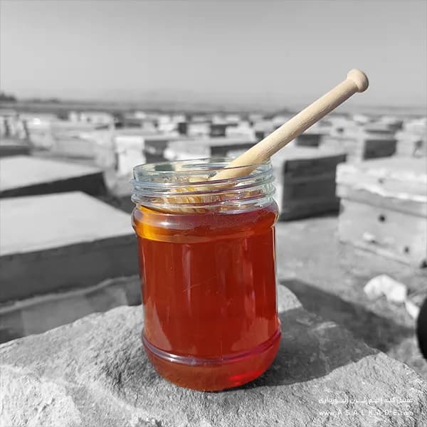 عسل گشنیز صاف شده – ارگانیک
