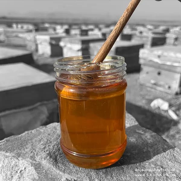 عسل محرمانه صاف شده – ارگانیک