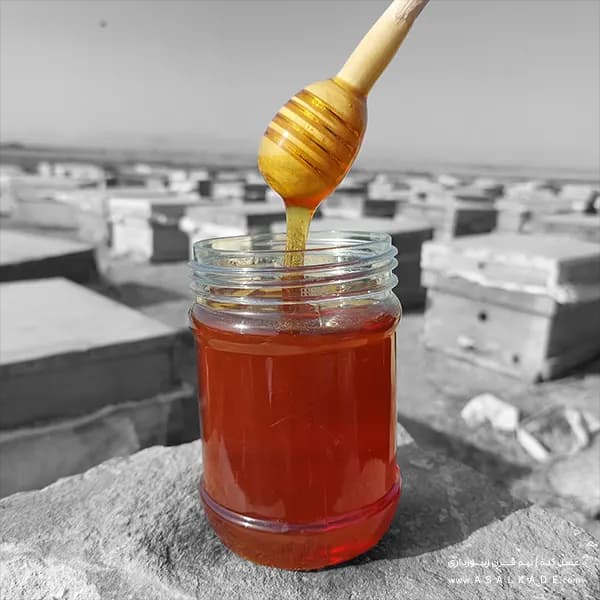 عسل کنار صاف شده – ارگانیک — تصویر ۶