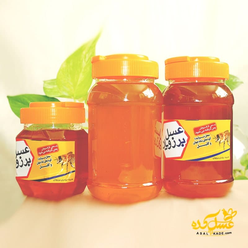 عسل خارشتر صاف شده – ارگانیک — تصویر ۱۰