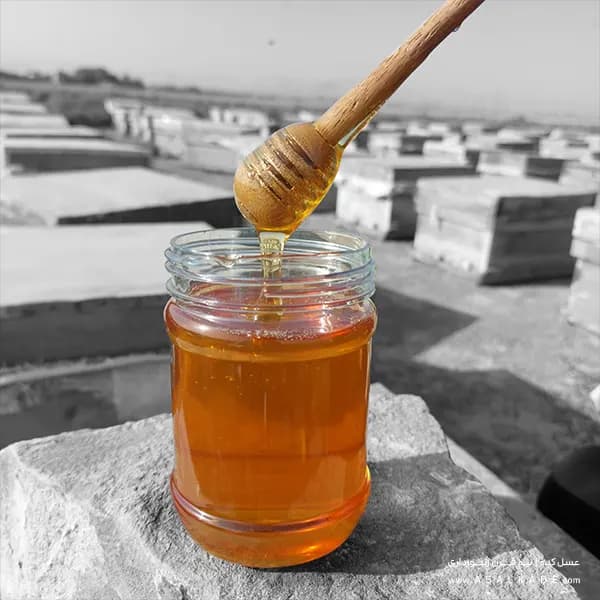 عسل خارشتر صاف شده – ارگانیک