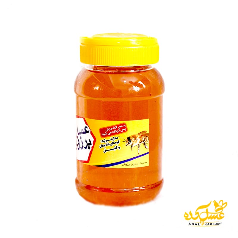 عسل گون صاف شده – ارگانیک — تصویر ۷