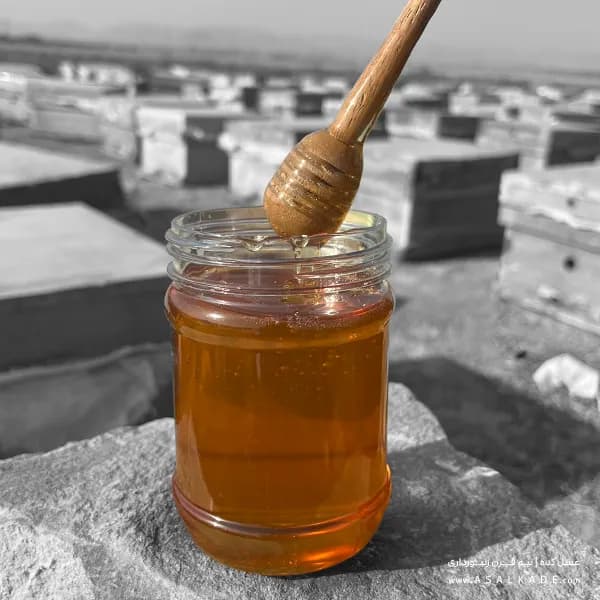 عسل گون صاف شده – ارگانیک