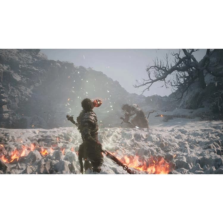 بازی Black Myth: Wukong برای PS5 – کارکرده — تصویر ۶