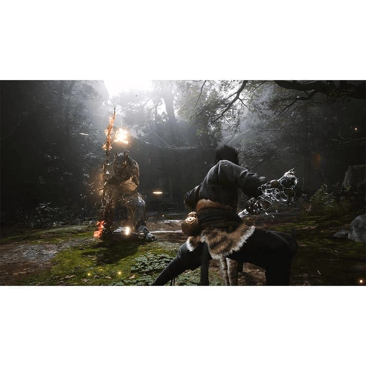 بازی Black Myth: Wukong برای PS5 – کارکرده — تصویر ۴