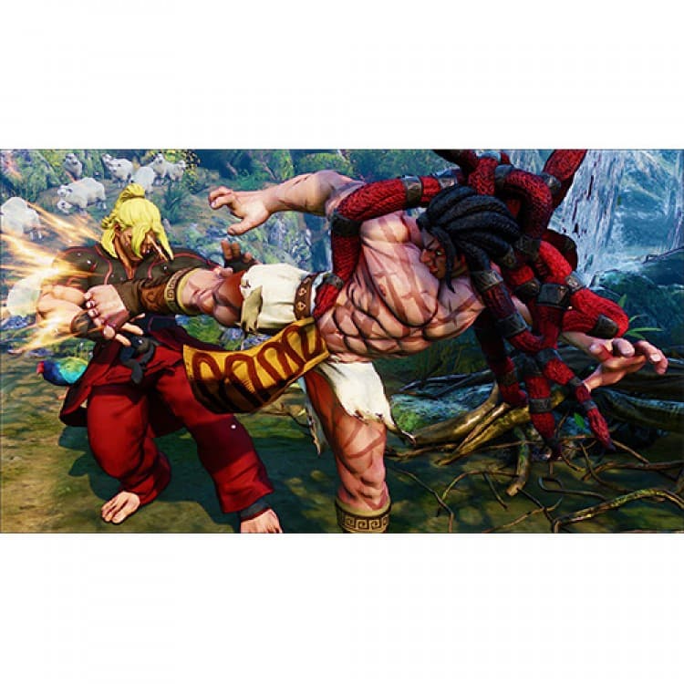 بازی Street Fighter Vبرای PS4 – کارکرده — تصویر ۳