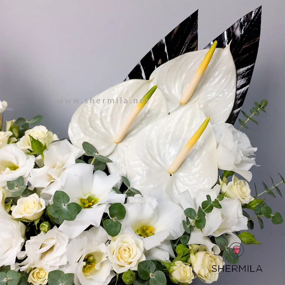 باکس گل سانیل — تصویر ۵
