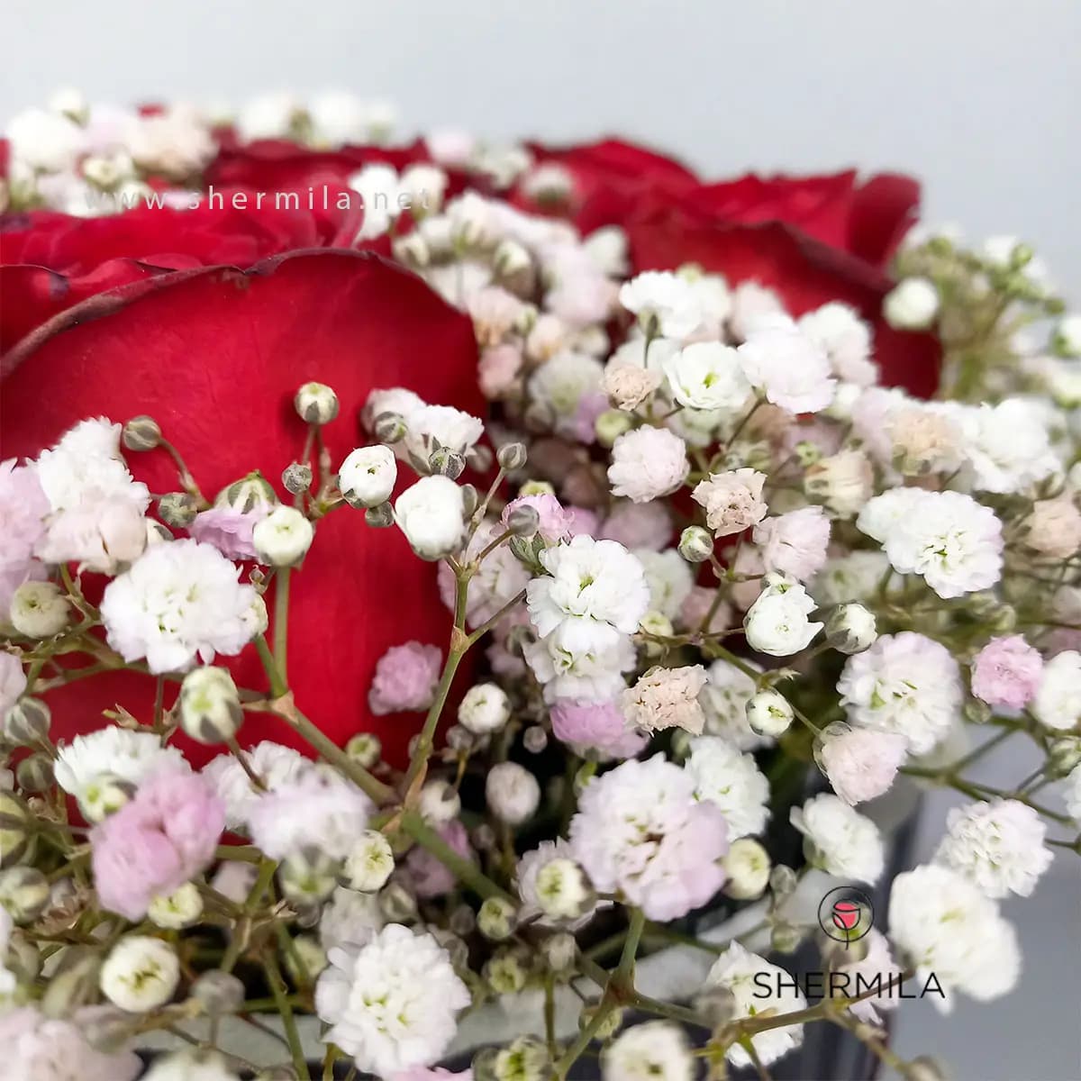 باکس گل فریحا — تصویر ۲
