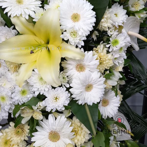 تاج گل ترحیم مهگل — تصویر ۵