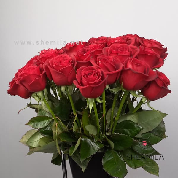 باکس گل مستانه — تصویر ۳