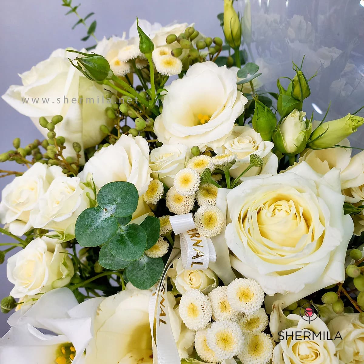 باکس گل مهرنیا — تصویر ۲