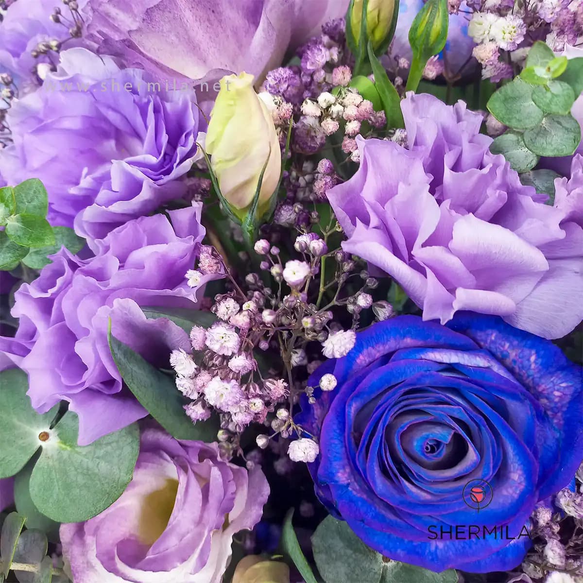 باکس گل پریناز — تصویر ۵
