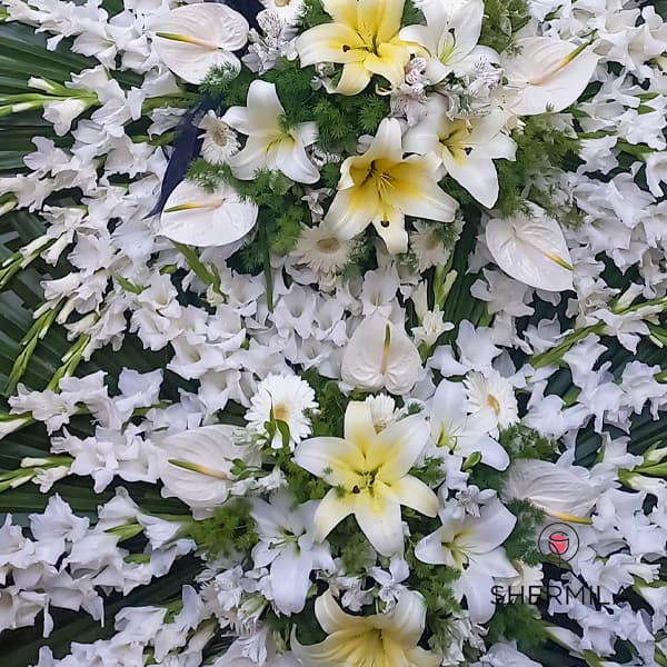 تاج گل سپیده — تصویر ۴