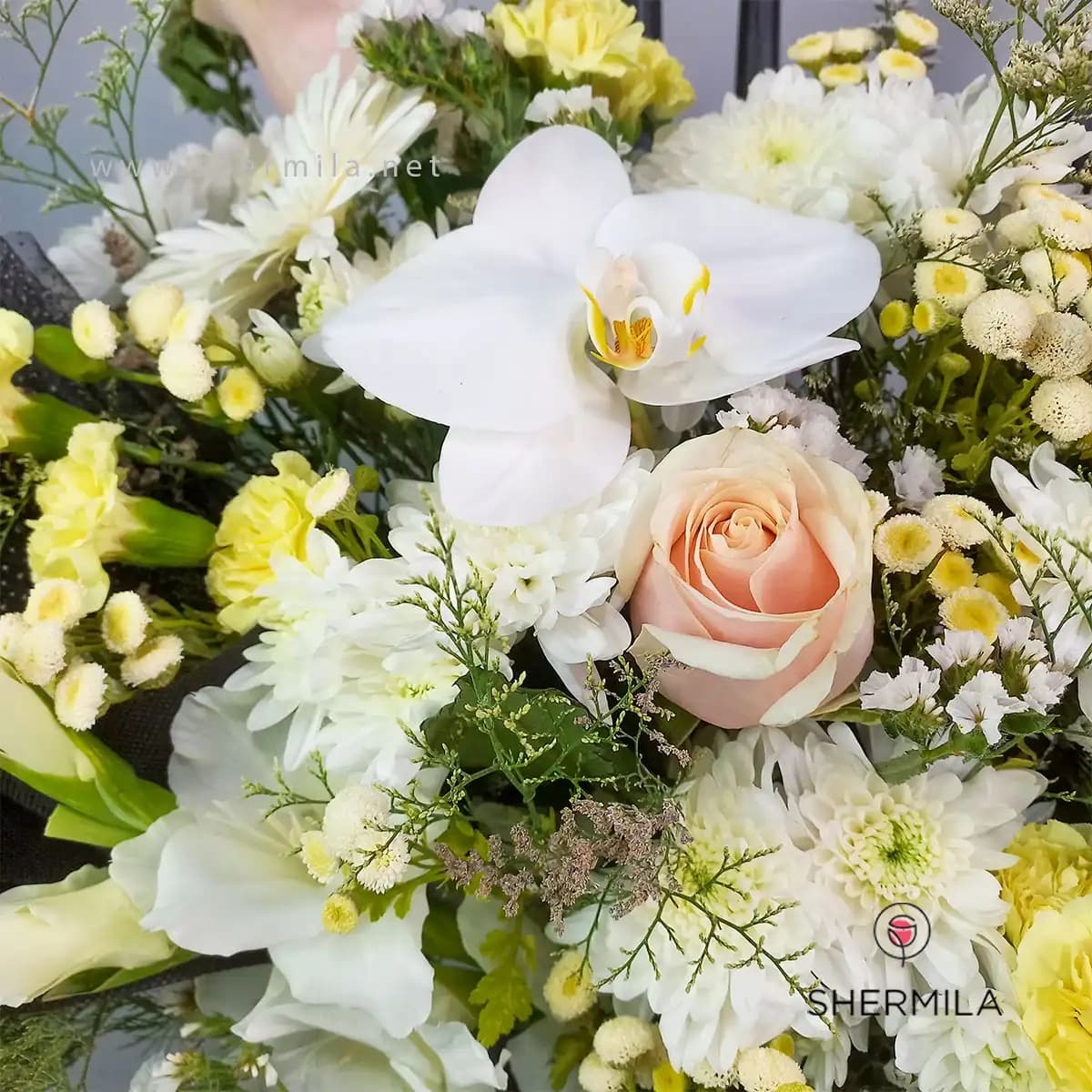 باکس گل نور — تصویر ۵