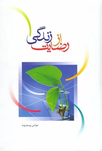 رضایت از زندگی — تصویر ۳