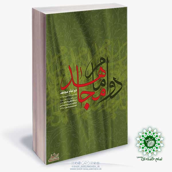 کتاب دو امام مجاهد،مبارزات امام حسن و امام حسین علیه السلام — تصویر ۳