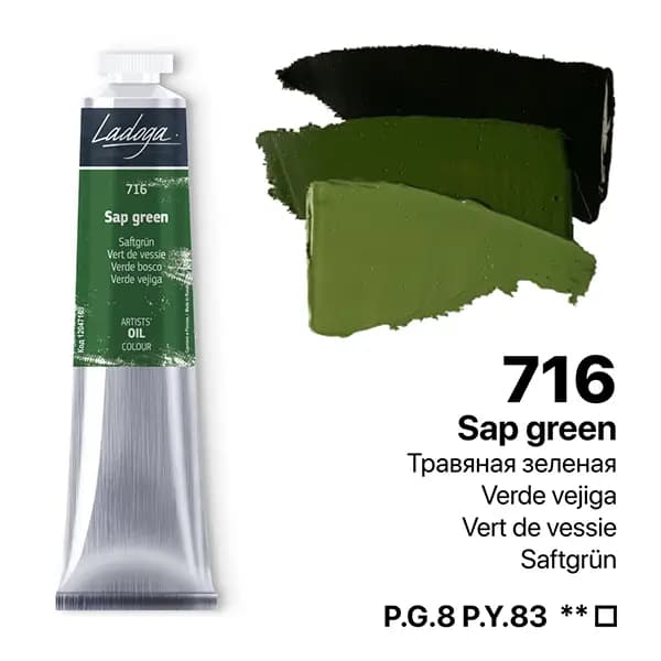 رنگ روغن سنت پترزبورگ (لادوگا) رنگ Sap green 716 — تصویر ۶