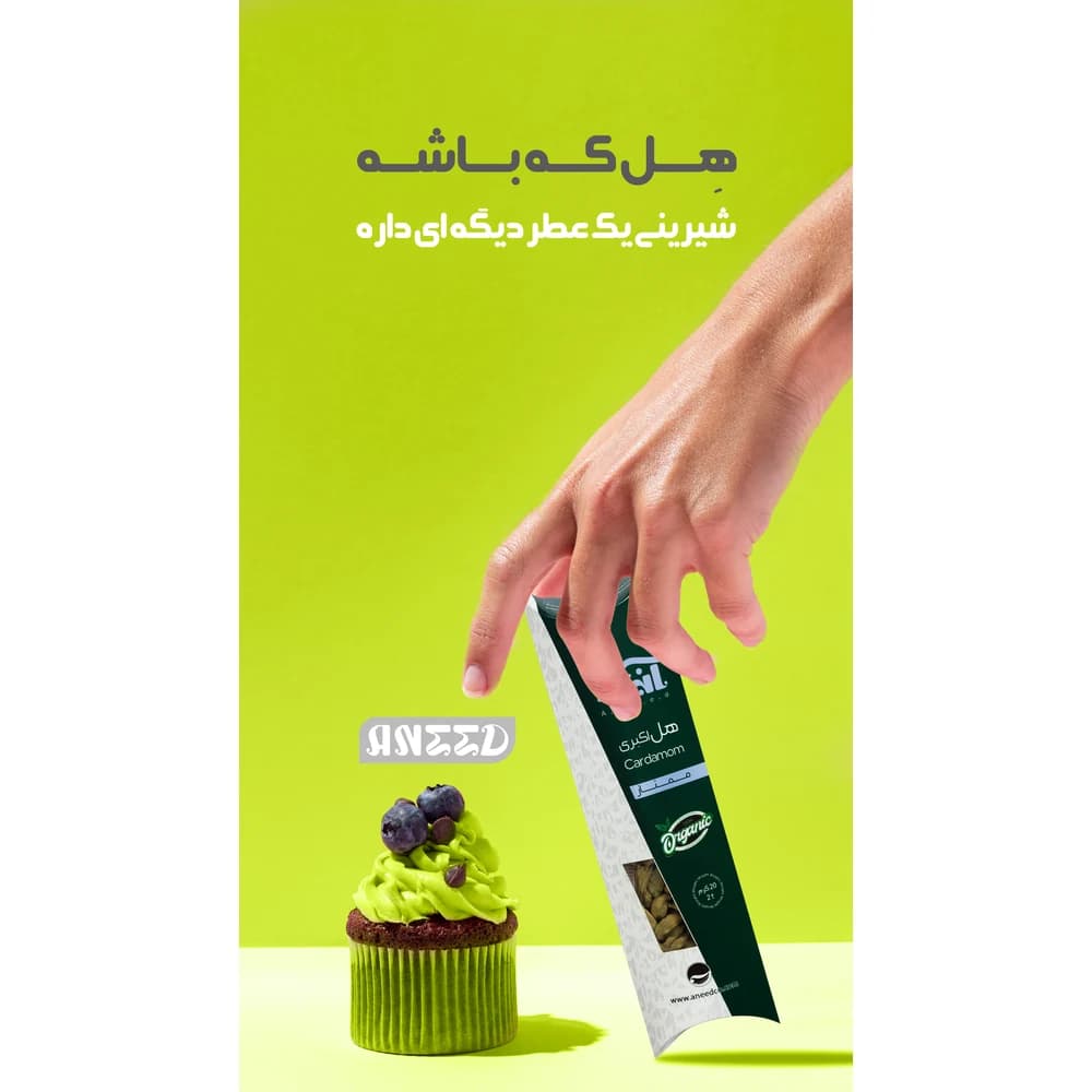 هل سبز صادراتی آنید — تصویر ۸