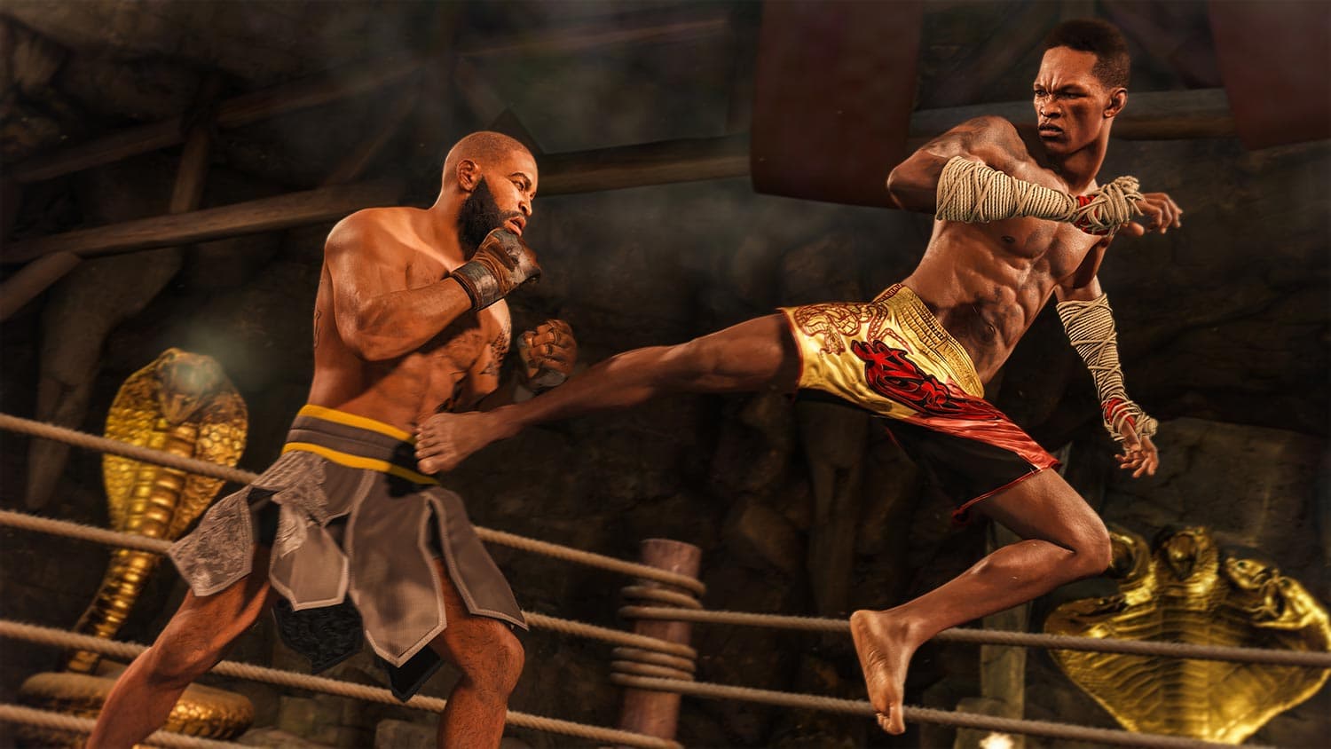 UFC 4 کارکرده — تصویر ۵
