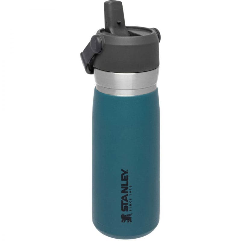 قمقمه خنک نگهدارنده نی دار استنلی آبی Stanley-The Ice flow-flip Straw-650 ml — تصویر ۲