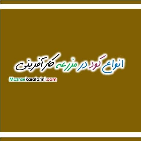 کود پتاسیم مایع — تصویر ۲