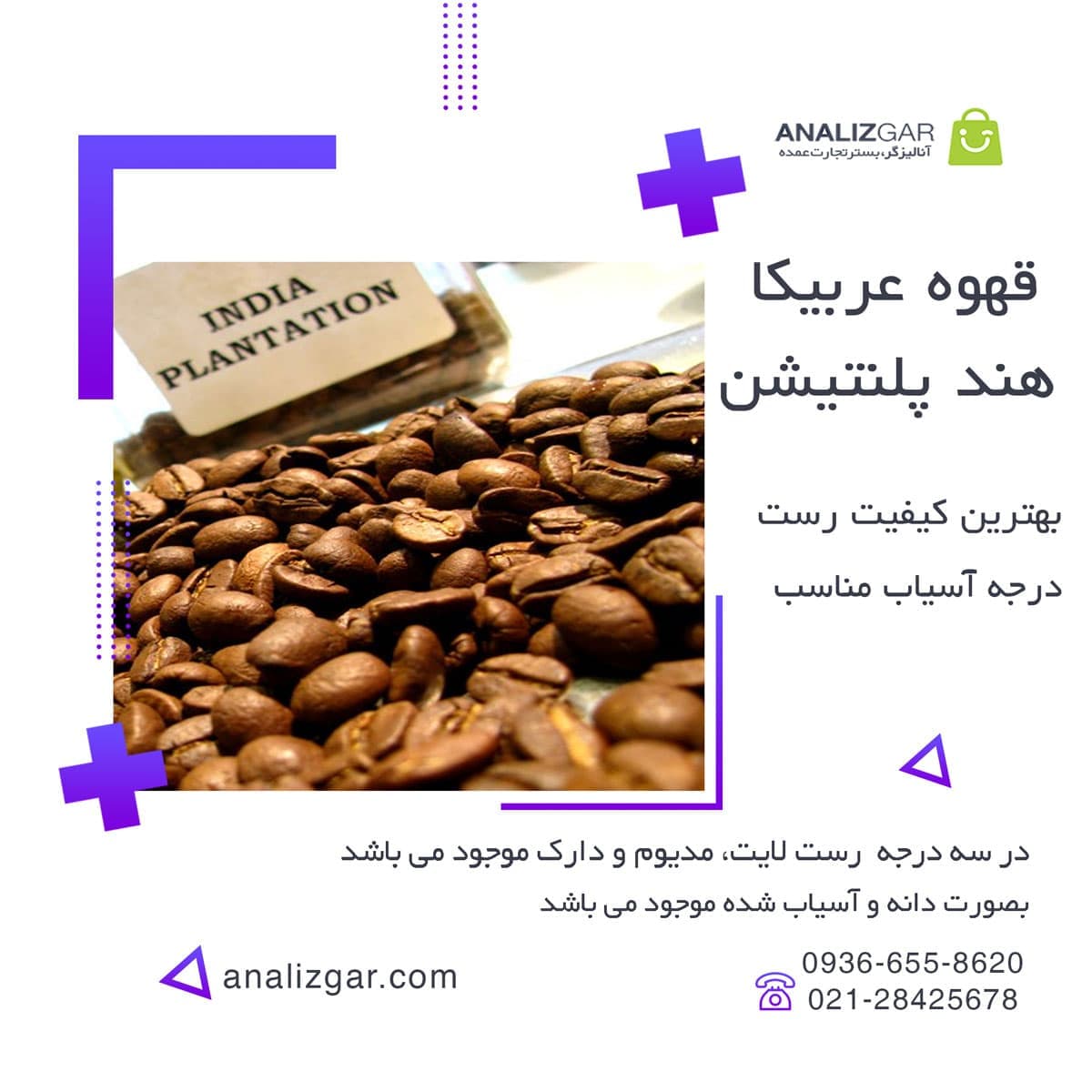 قهوه عربیکا هند پلنتیشن