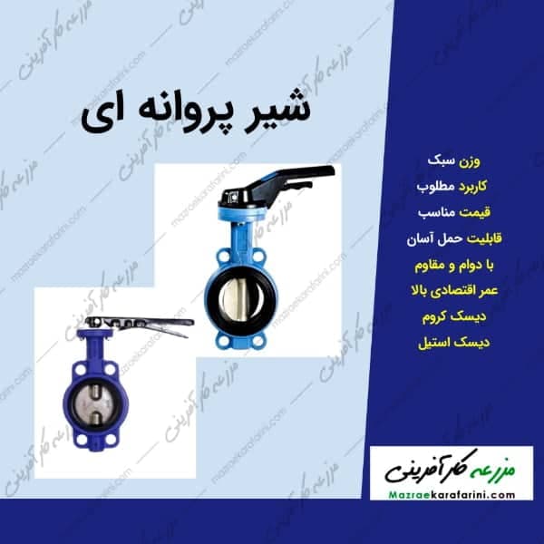 شیر پروانه‌ ای — تصویر ۲