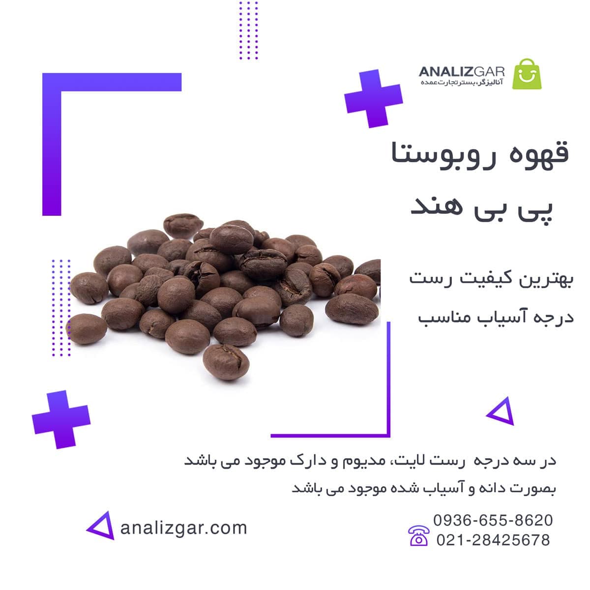 قهوه روبوستا پی بی هندوستان