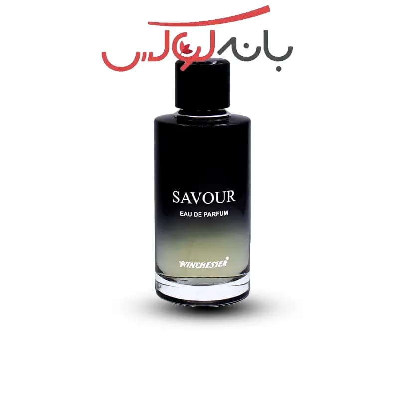 ادکلن مردانه اماراتی دیور ساواج 100 میل وینچستر — تصویر ۴