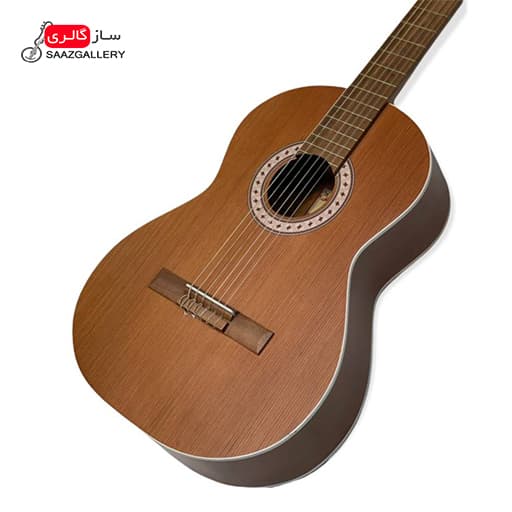 گیتار پارسی مدل P40 — تصویر ۱۲