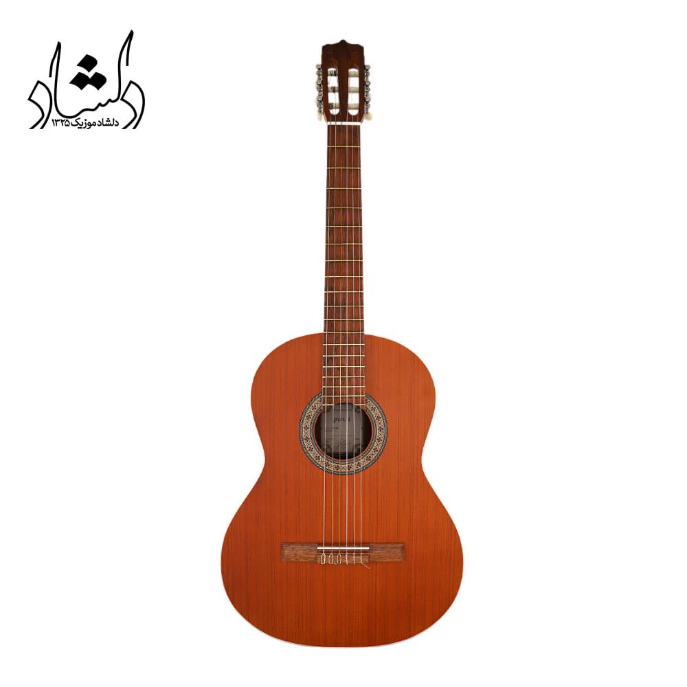 گیتار پارسی مدل P40 — تصویر ۶