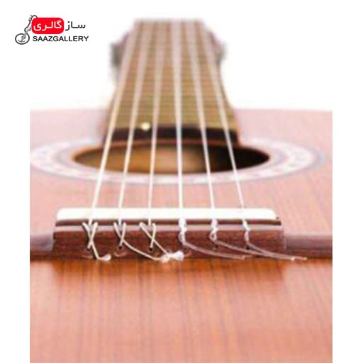 گیتار پارسی مدل P40 — تصویر ۴