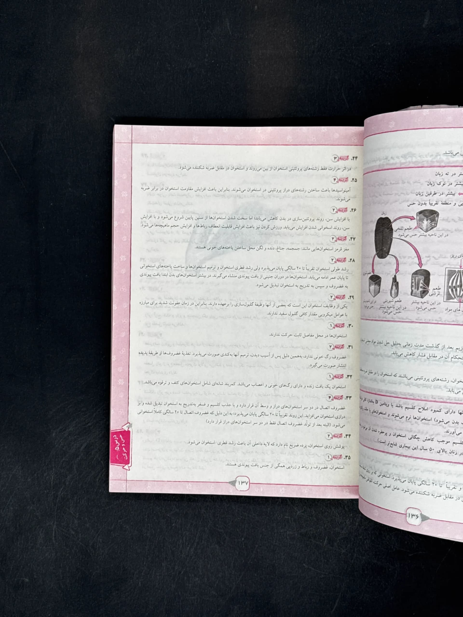مسابقات علوم هشتم مرشد مبتکران — تصویر ۷