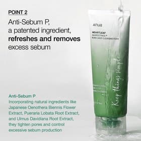 فوم شستشوی صورت پاک کننده عمقی منافذ آنوا Anua Heartleaf Quercetinol Pore Deep Cleansing Foam — تصویر ۲
