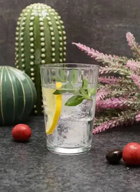 لیوان پاشاباغچه مدل لینا کد 52952
