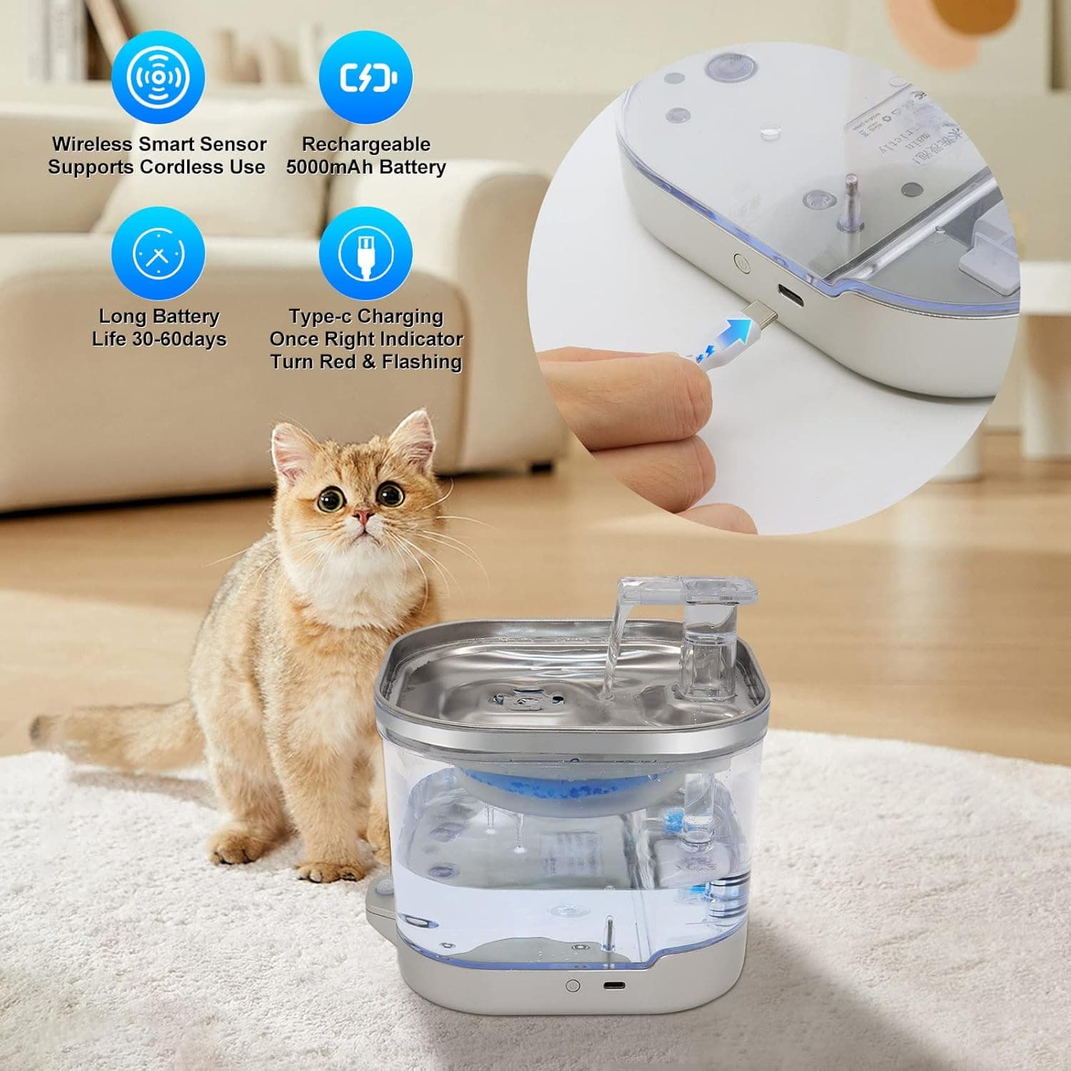 آبخوری اتوماتیک گربه و سگ شیشه ای 2 لیتر WF190 — تصویر ۵