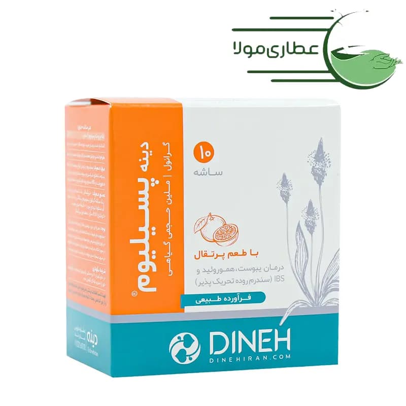 ساشه گرانول پسیلیوم دینه 10 عدد — تصویر ۲