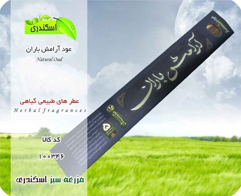 عود آرامش باران — تصویر ۲