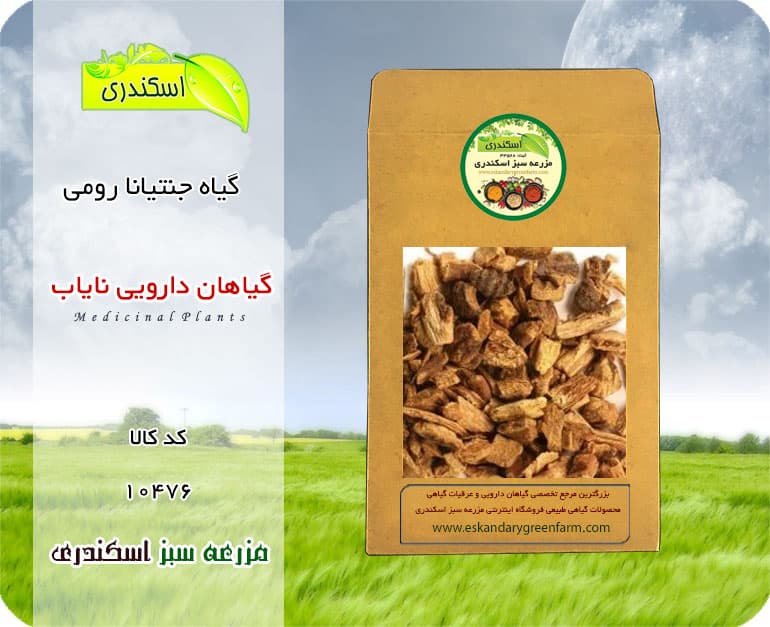 گیاه جنتیانا رومی نایاب | گیاه دارویی کم‌یاب