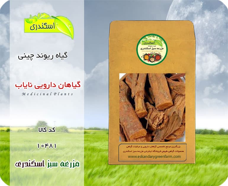 گیاه ریوند چینی نایاب | گیاه دارویی کم‌یاب