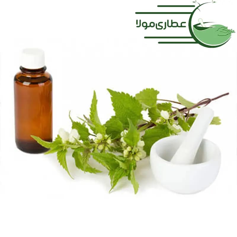 روغن گزنه مهربانی
