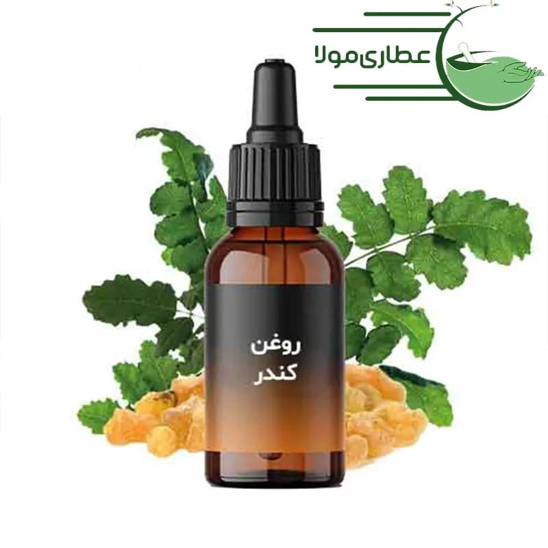 روغن کندر مهربانی — تصویر ۲
