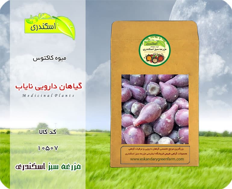 میوه کاکتوس
