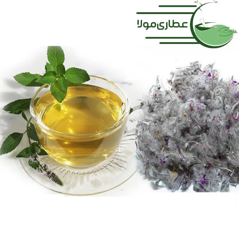 روغن چای کوهی مهربانی