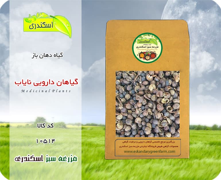 گیاه دهان باز اصل و نایاب | گیاه دارویی کم‌یاب