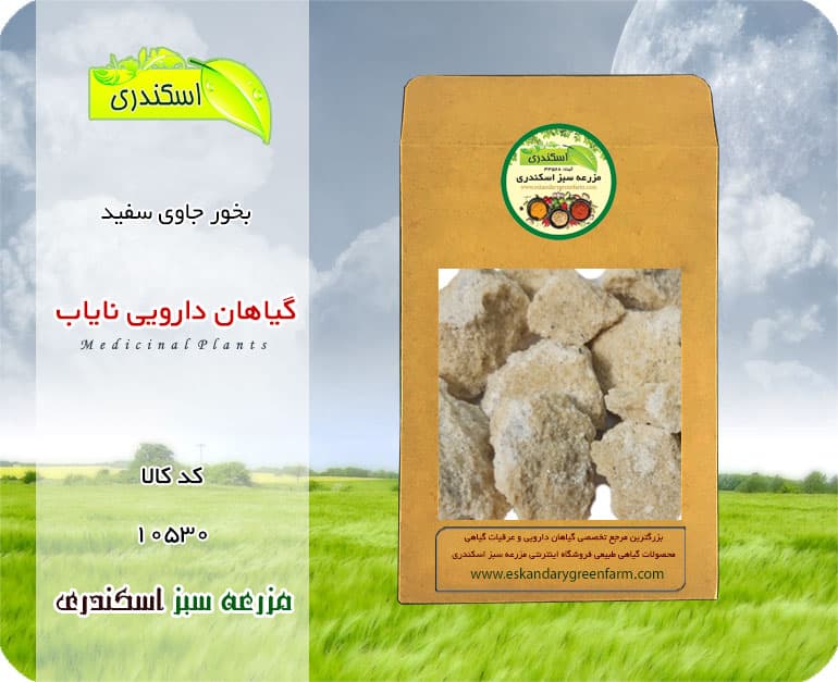 بخور جاوی سفید گونه اصلی و نایاب | عطاری محصولات کم‌یاب — تصویر ۲
