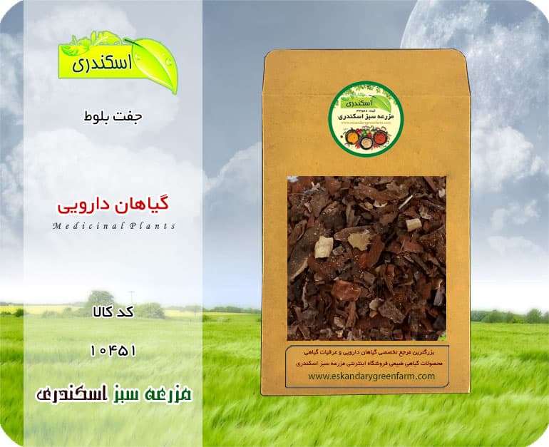 گیاه دارویی جفت بلوط